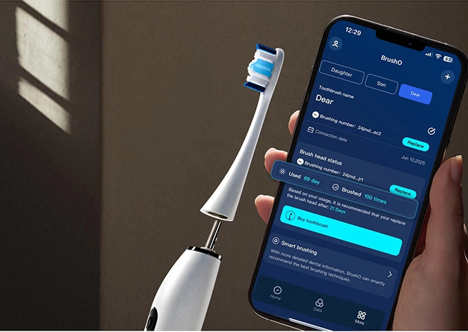 Replacement Brush Heads Reminder